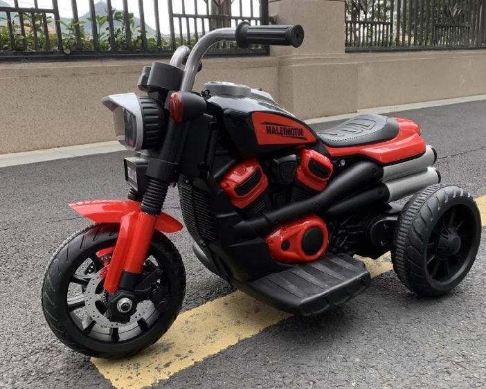 818 Davidson Bike - Don't Cry