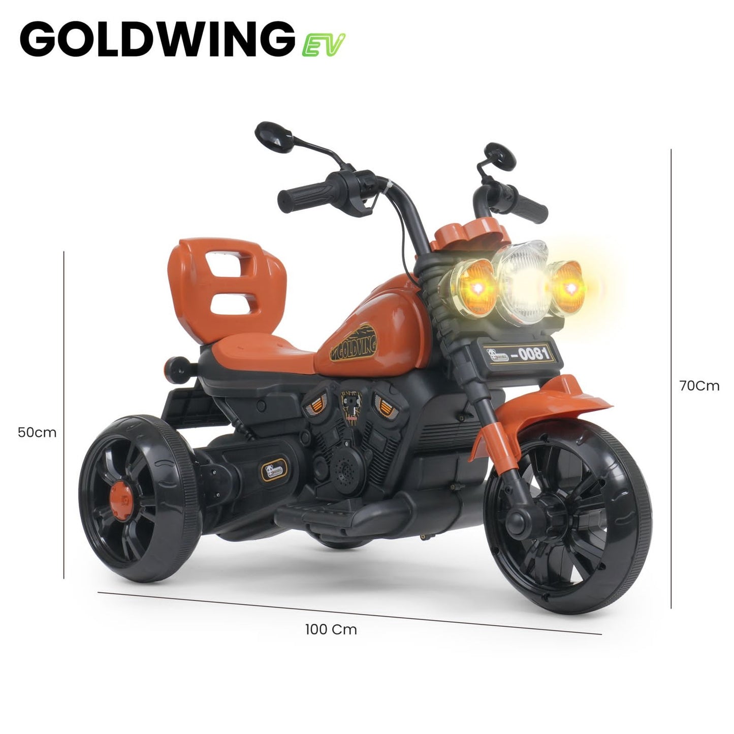 Goldwing EV - Don't Cry