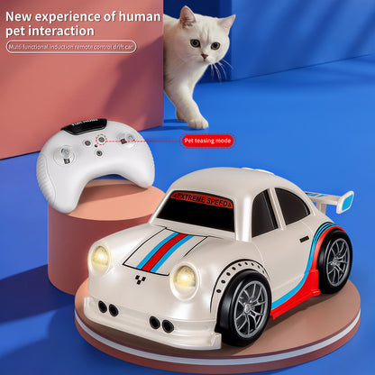 Remote Control Drift Car